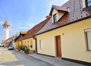 Гостиница Apartment Gasa  Брежице